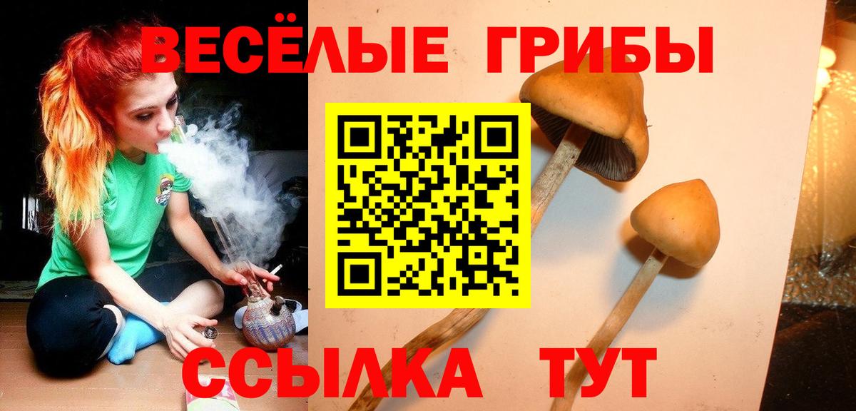Псилоцибиновые грибы MAGIC MUSHROOMS Краснодар